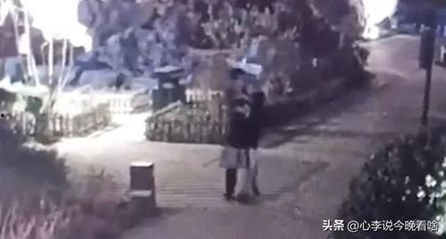 兰州吃瓜爆料事件视频,视频揭露惊人内幕