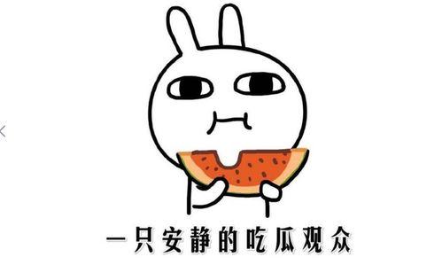 抖音瓜免费吃,揭秘网红美食背后的秘密